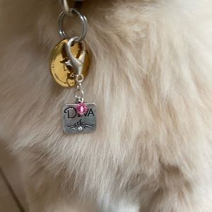 👑👑Pet collar charm